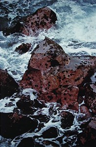 Image description is not available for 1984.039